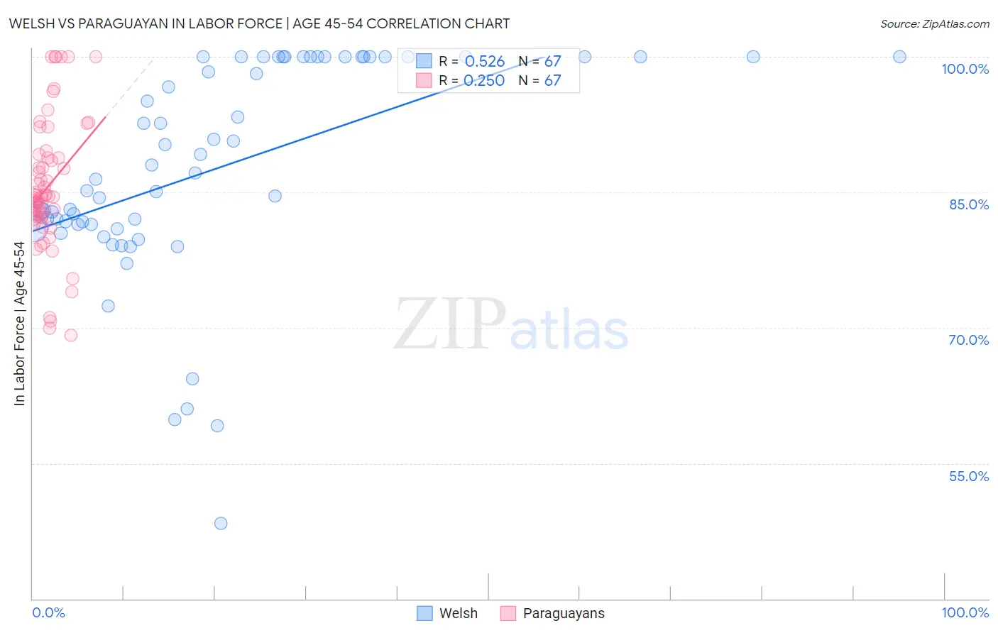 Welsh vs Paraguayan In Labor Force | Age 45-54