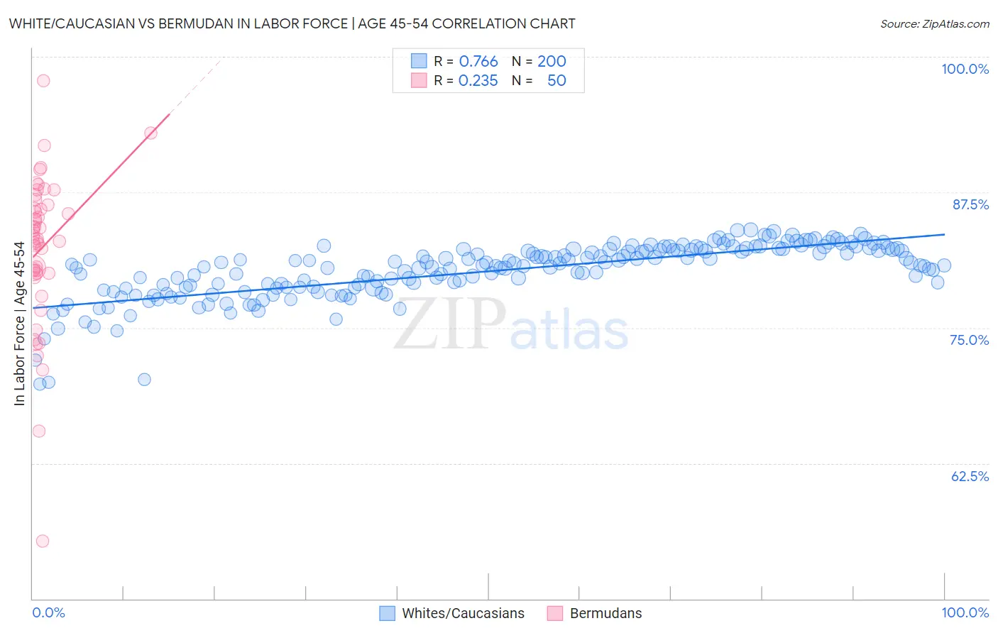 White/Caucasian vs Bermudan In Labor Force | Age 45-54