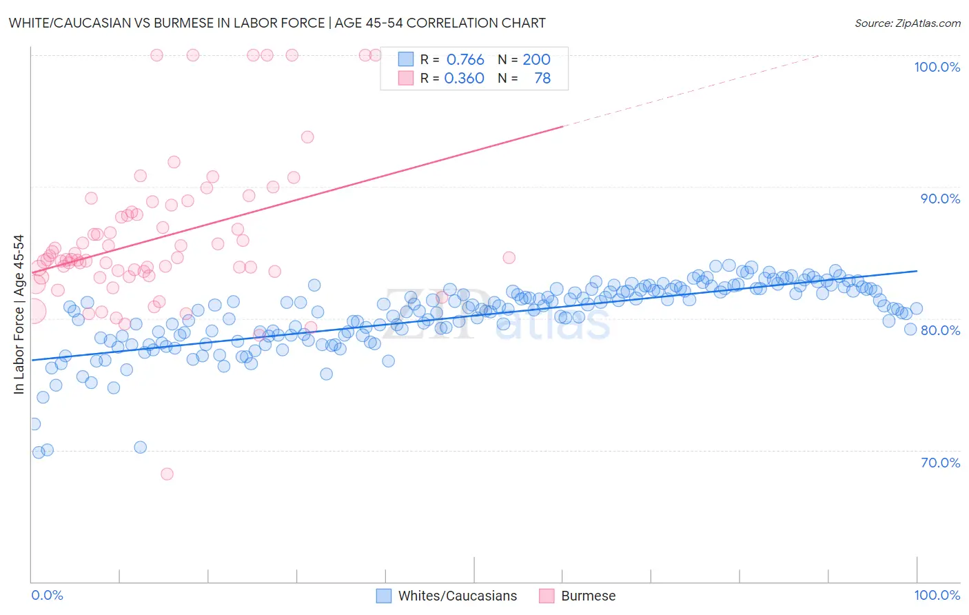 White/Caucasian vs Burmese In Labor Force | Age 45-54