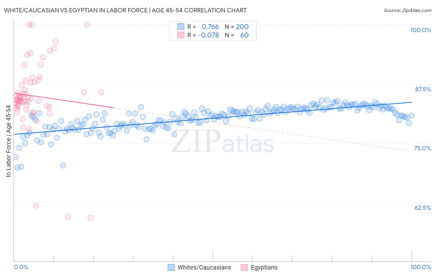 White/Caucasian vs Egyptian In Labor Force | Age 45-54