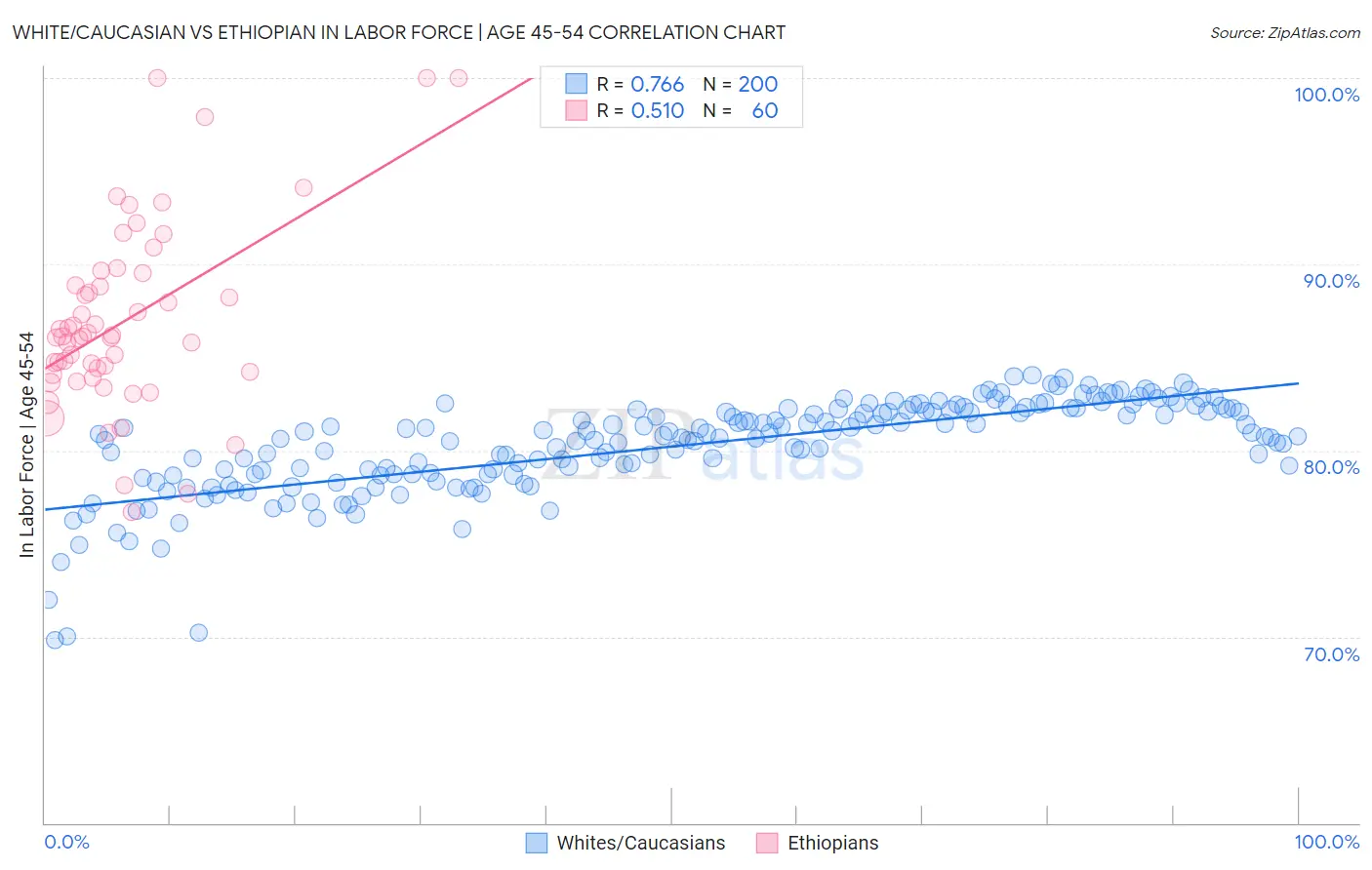 White/Caucasian vs Ethiopian In Labor Force | Age 45-54