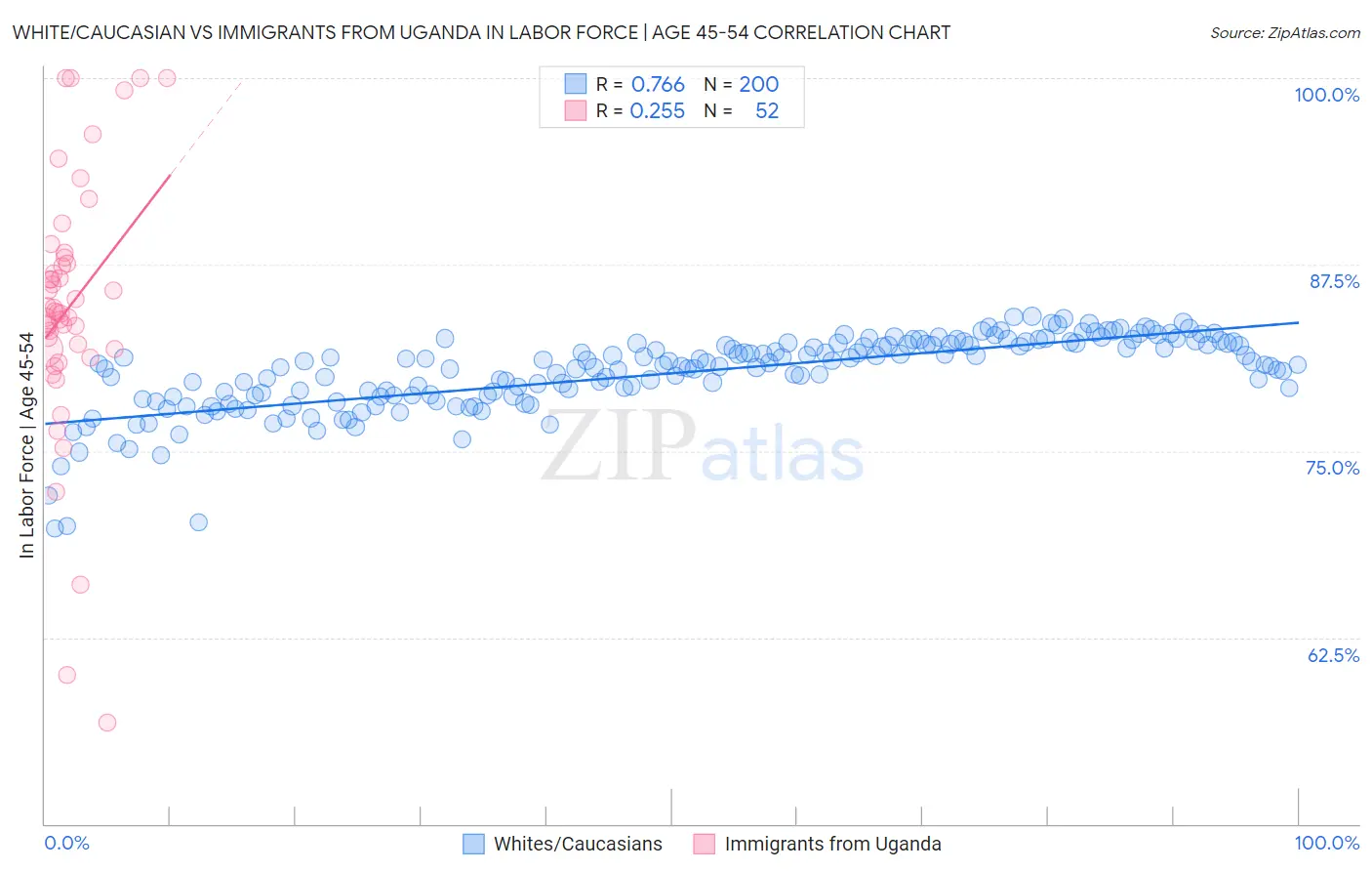 White/Caucasian vs Immigrants from Uganda In Labor Force | Age 45-54