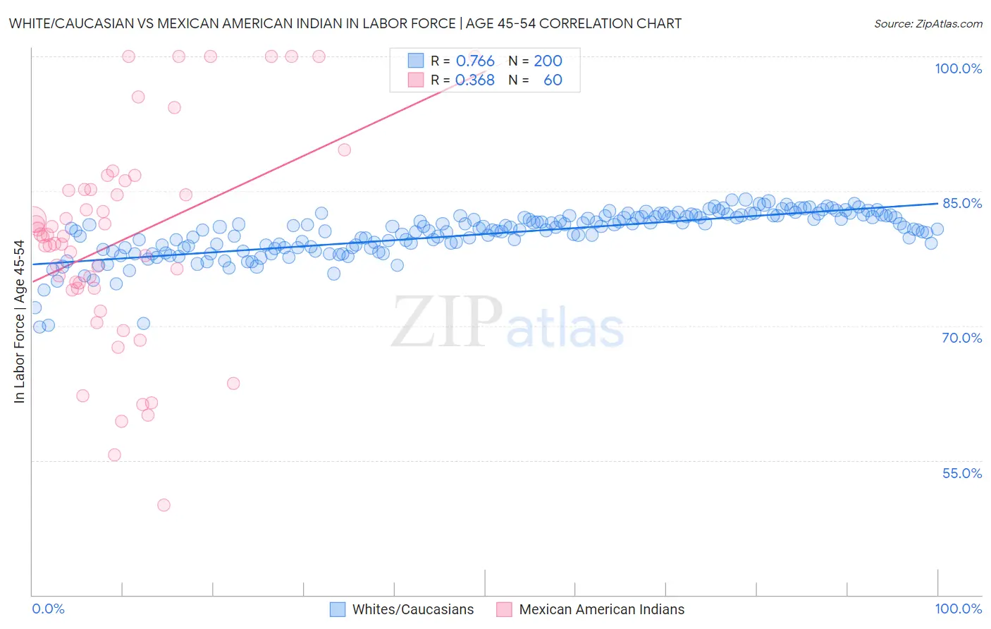 White/Caucasian vs Mexican American Indian In Labor Force | Age 45-54