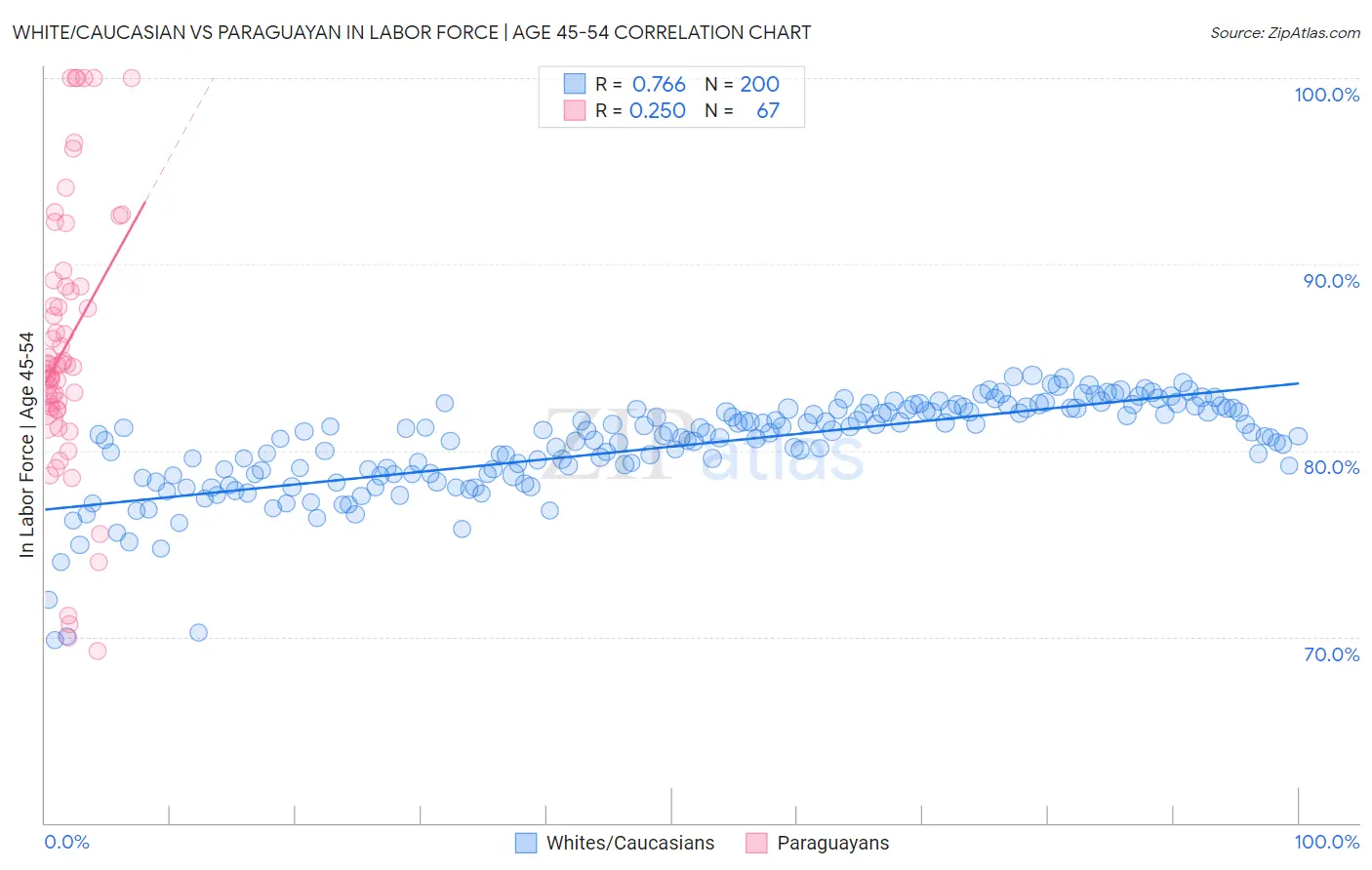 White/Caucasian vs Paraguayan In Labor Force | Age 45-54