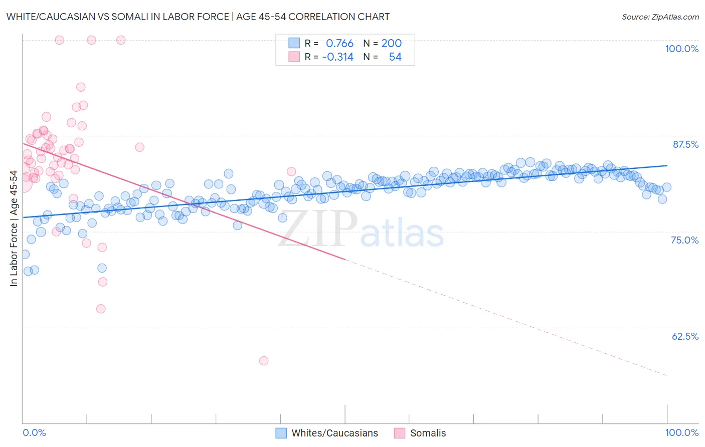 White/Caucasian vs Somali In Labor Force | Age 45-54