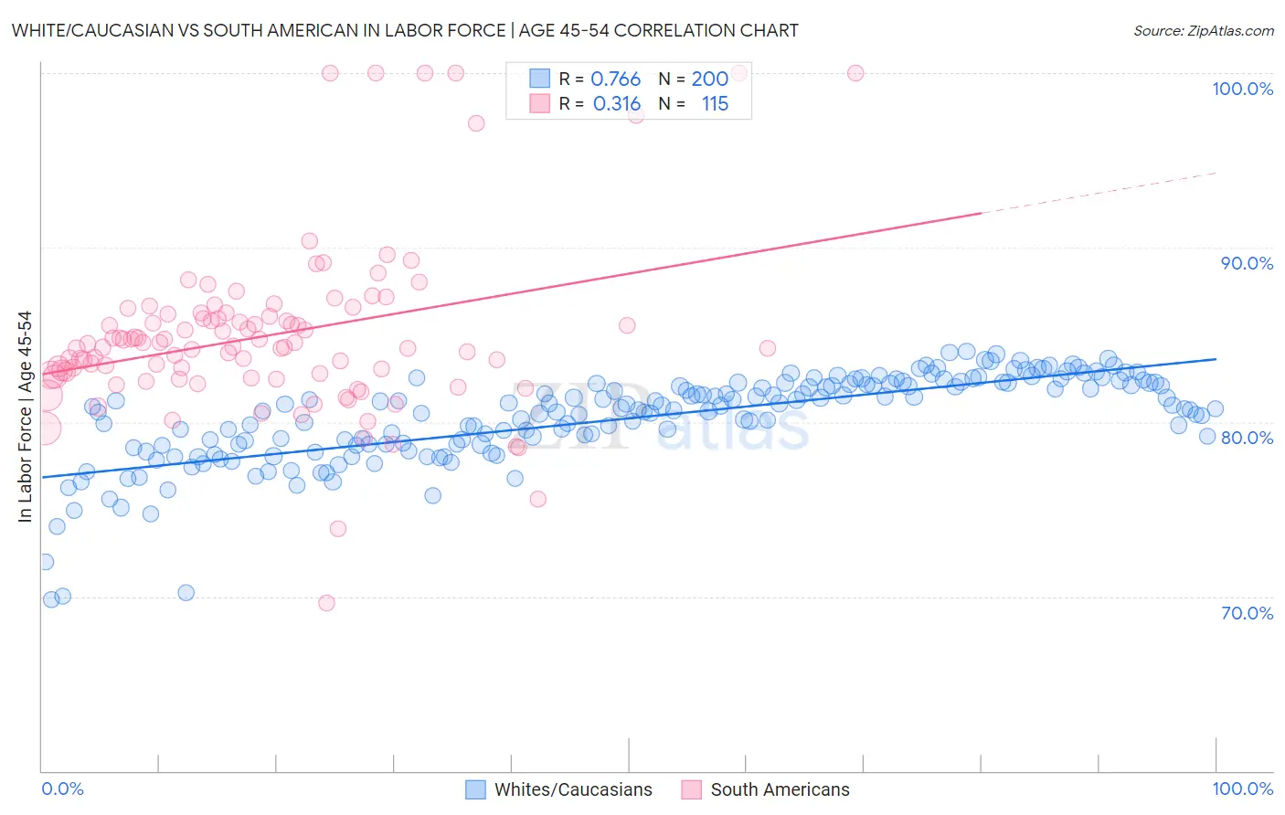 White/Caucasian vs South American In Labor Force | Age 45-54