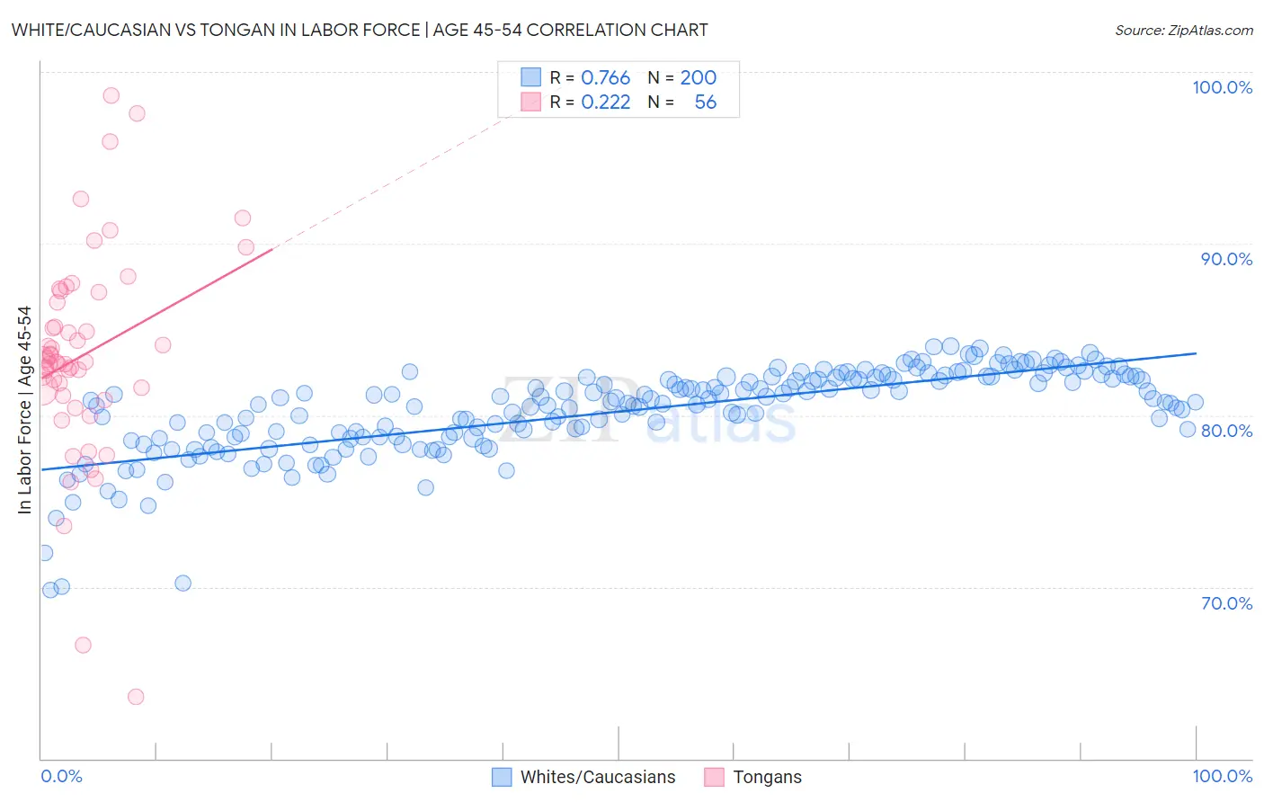 White/Caucasian vs Tongan In Labor Force | Age 45-54