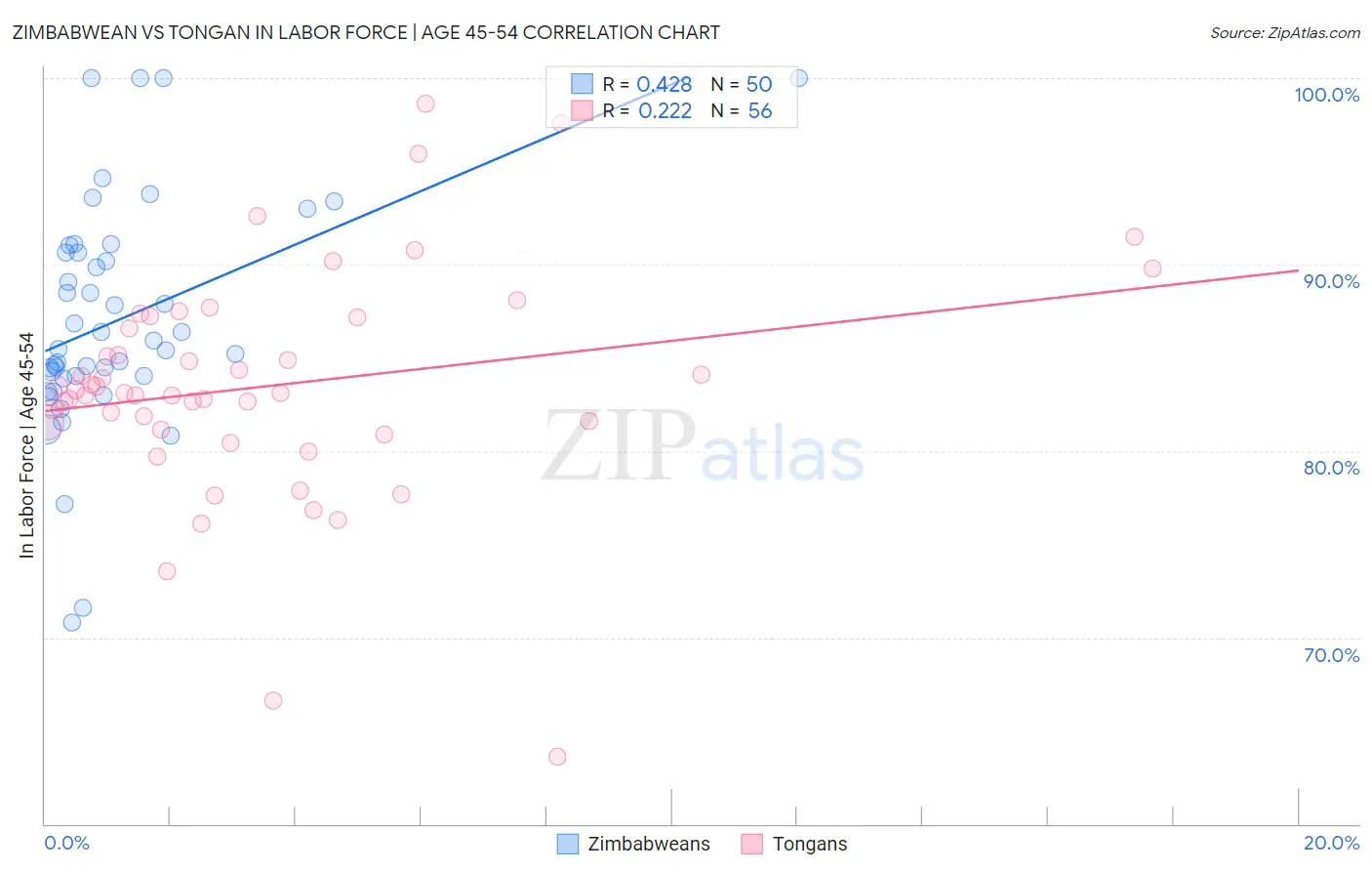 Zimbabwean vs Tongan In Labor Force | Age 45-54
