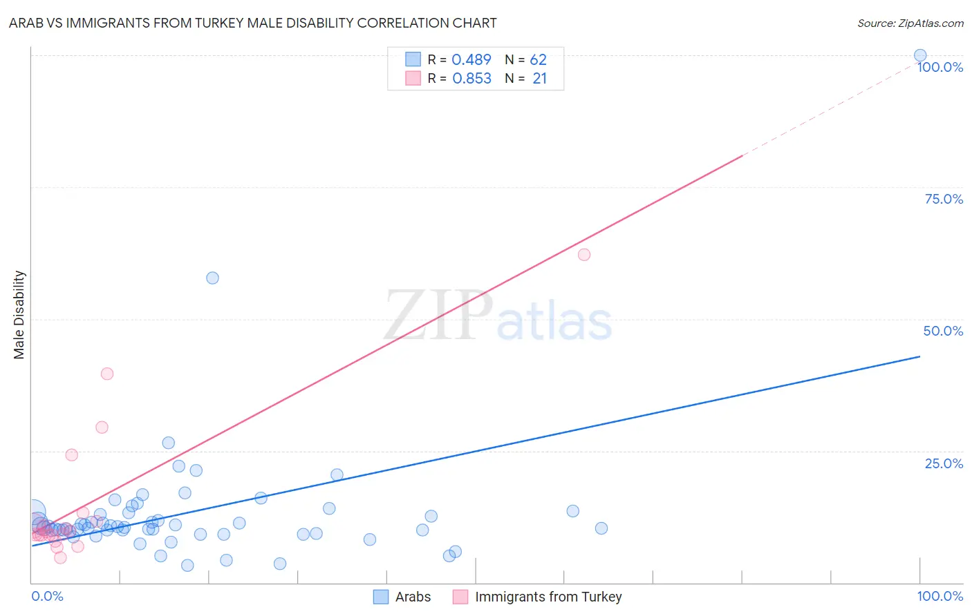 Arab vs Immigrants from Turkey Male Disability