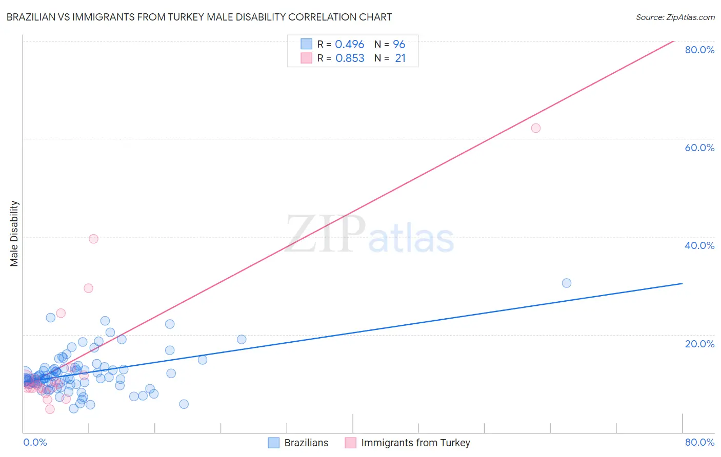 Brazilian vs Immigrants from Turkey Male Disability