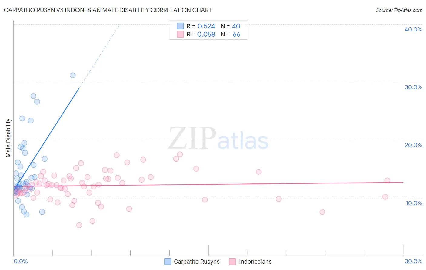 Carpatho Rusyn vs Indonesian Male Disability