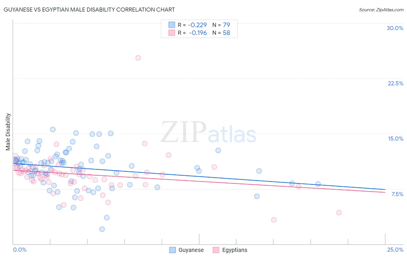Guyanese vs Egyptian Male Disability