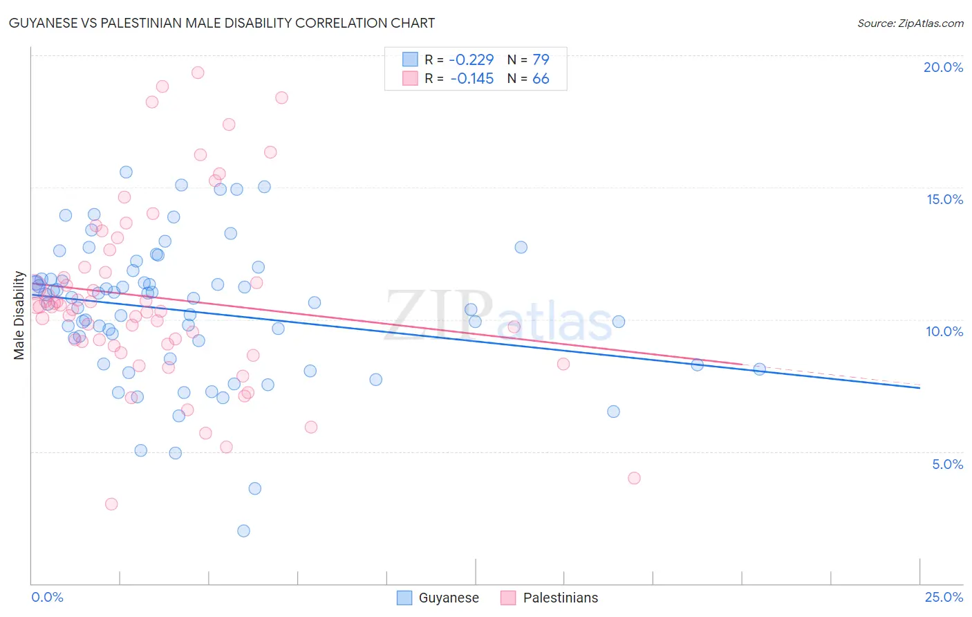 Guyanese vs Palestinian Male Disability