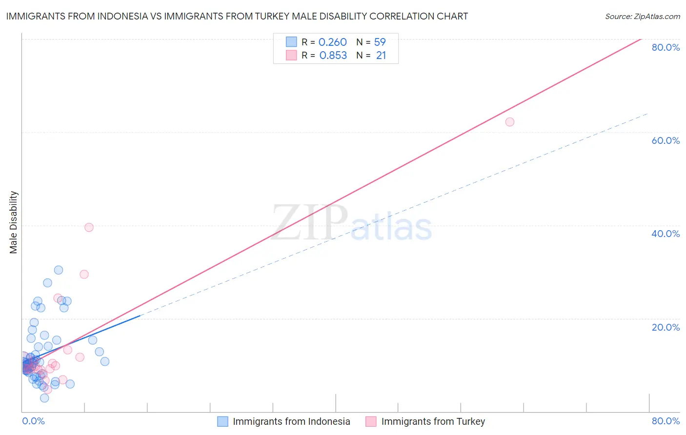Immigrants from Indonesia vs Immigrants from Turkey Male Disability