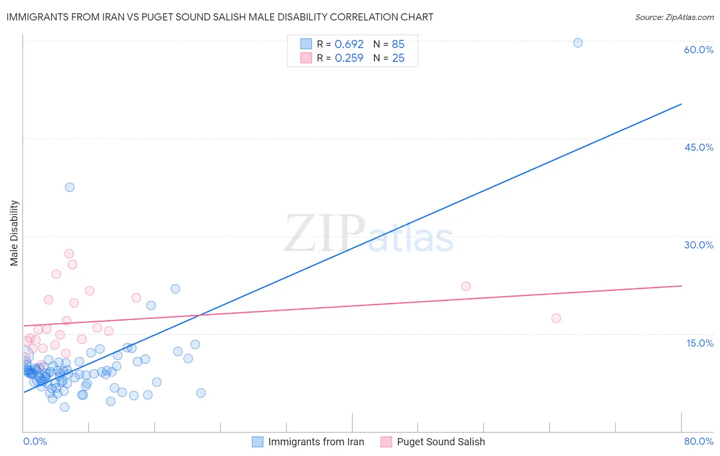 Immigrants from Iran vs Puget Sound Salish Male Disability