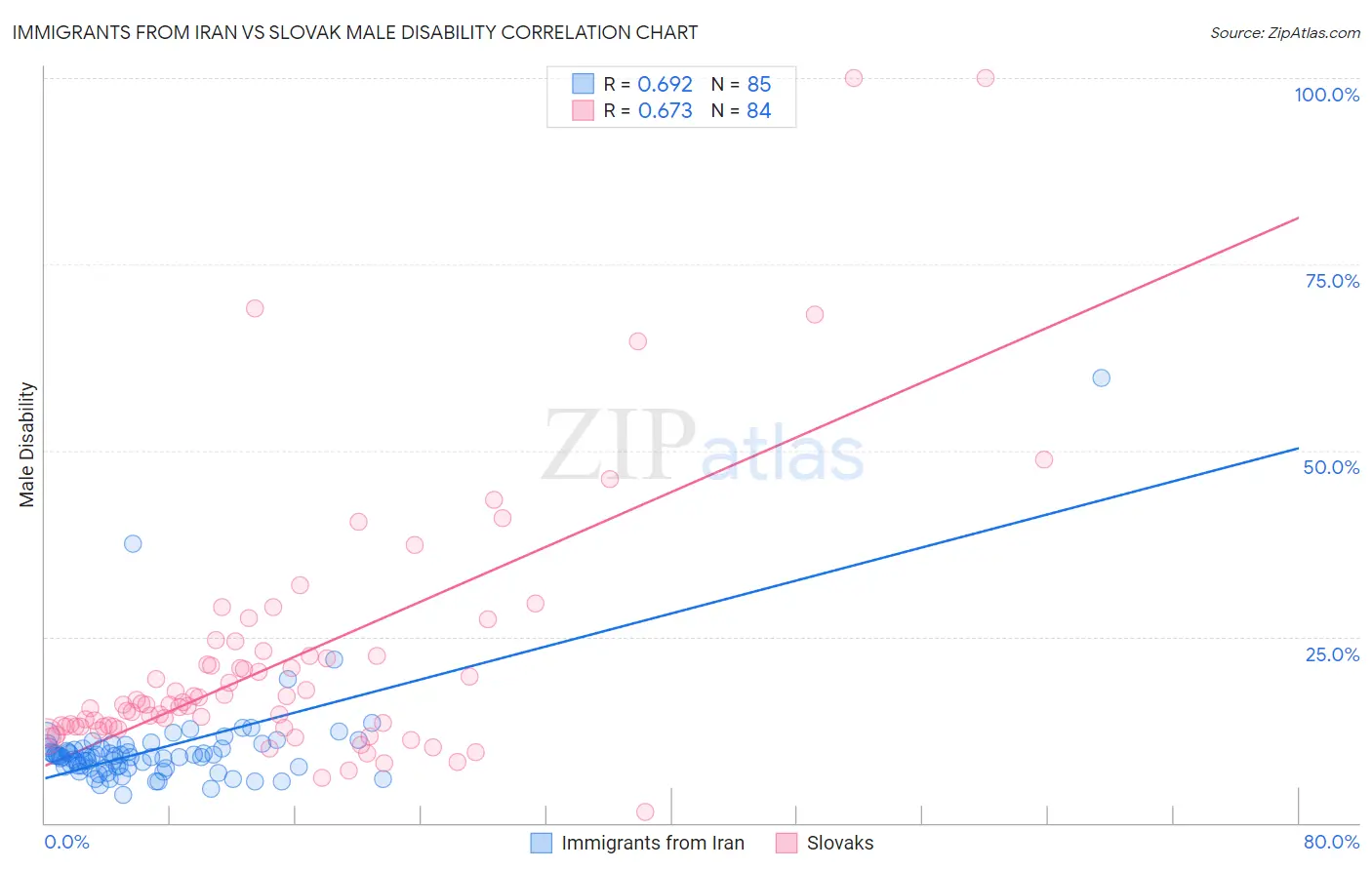 Immigrants from Iran vs Slovak Male Disability