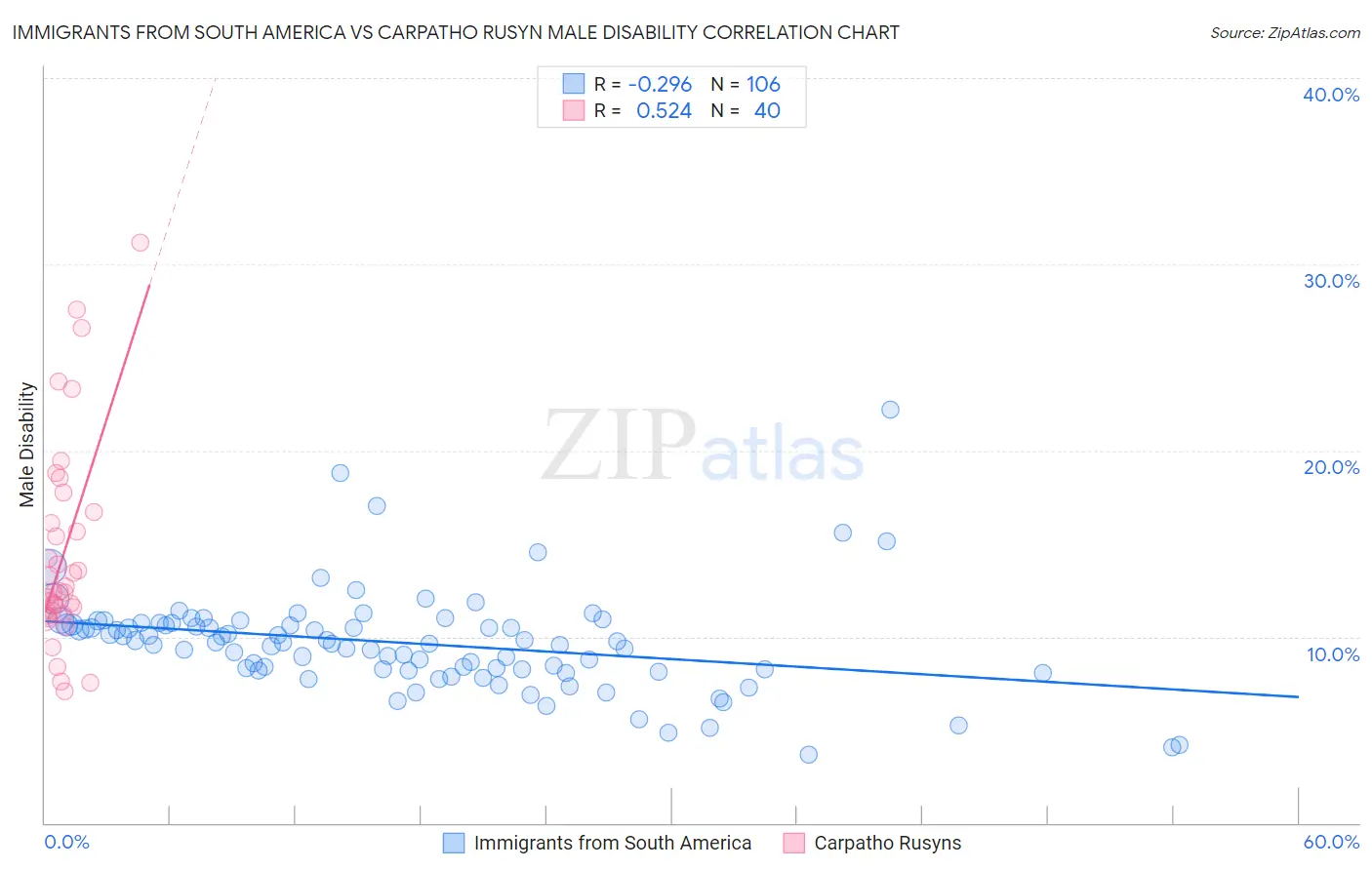 Immigrants from South America vs Carpatho Rusyn Male Disability