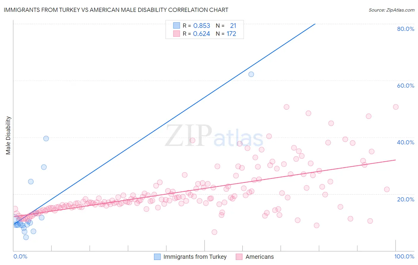Immigrants from Turkey vs American Male Disability