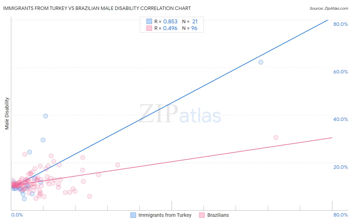 Immigrants from Turkey vs Brazilian Male Disability