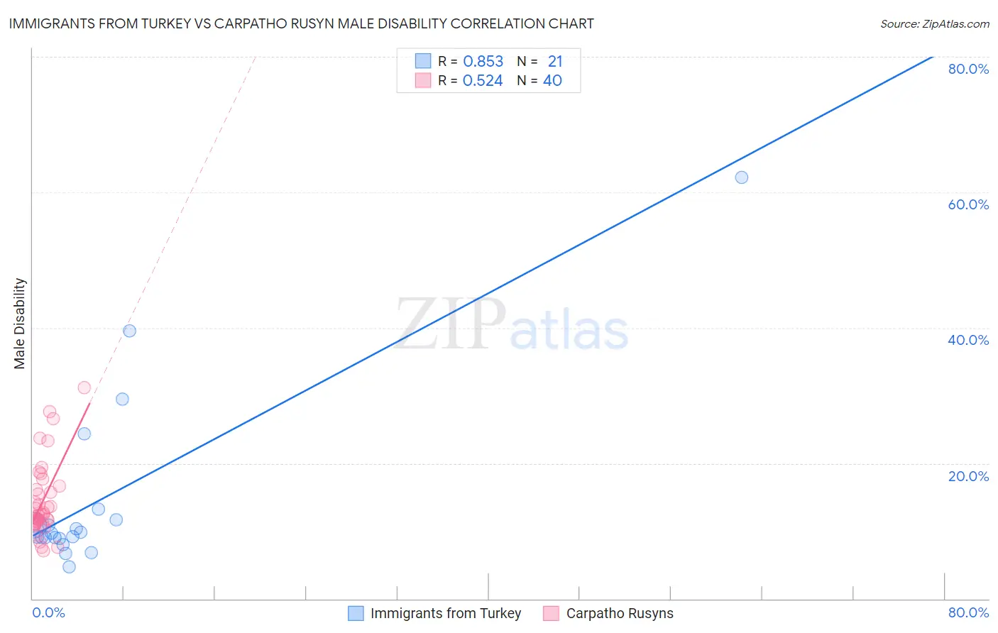 Immigrants from Turkey vs Carpatho Rusyn Male Disability