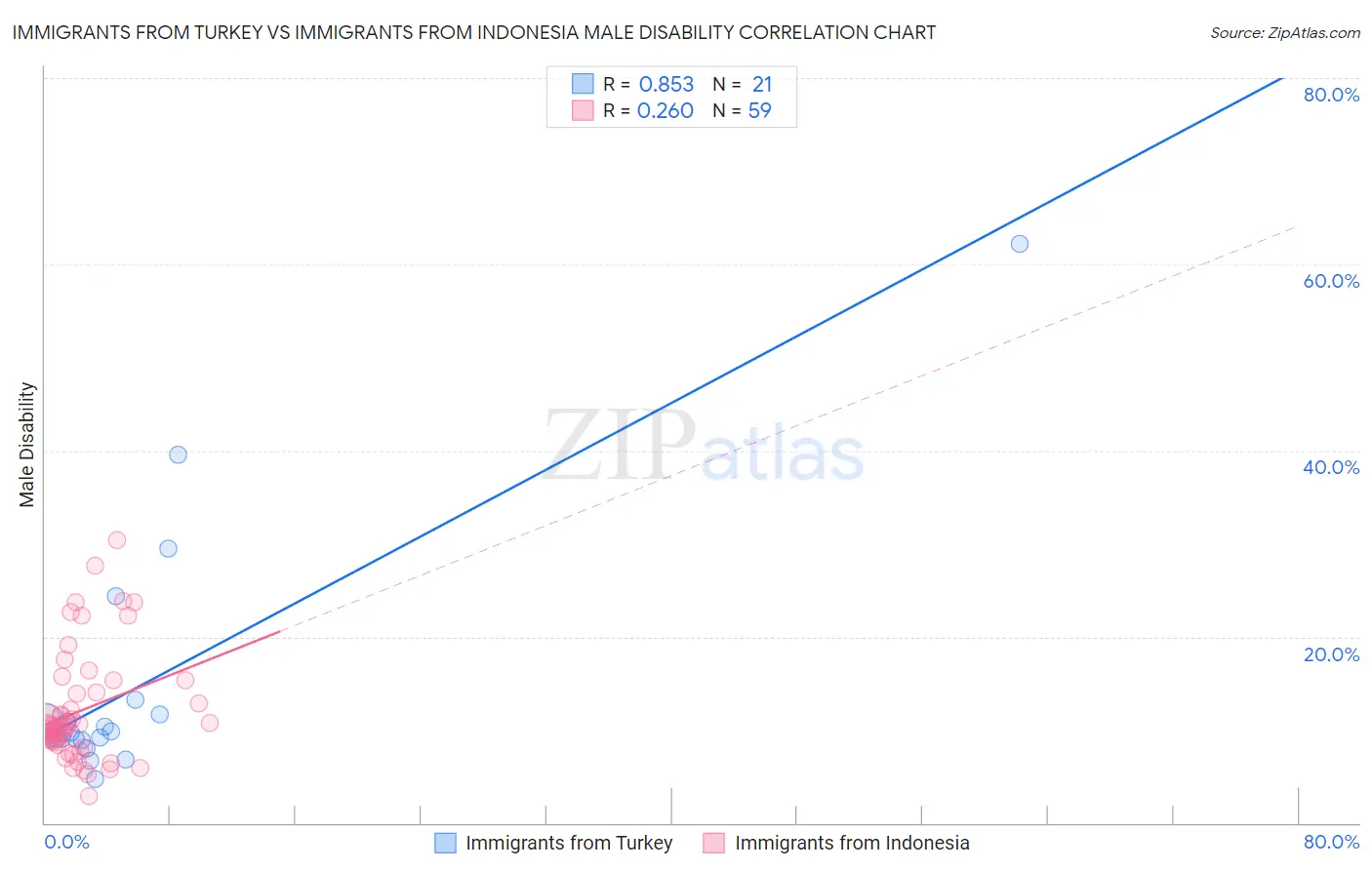 Immigrants from Turkey vs Immigrants from Indonesia Male Disability