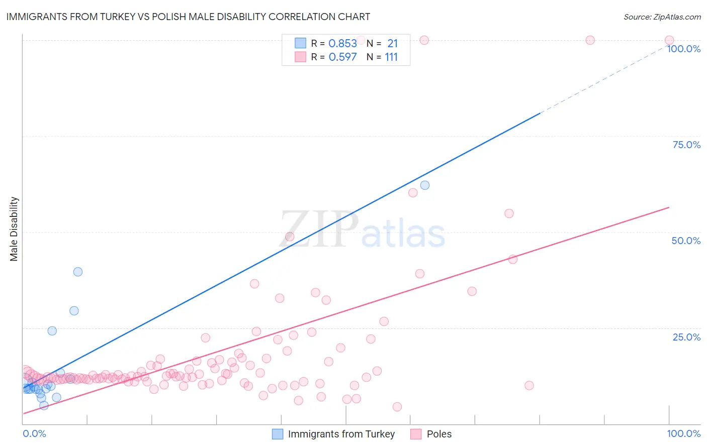 Immigrants from Turkey vs Polish Male Disability