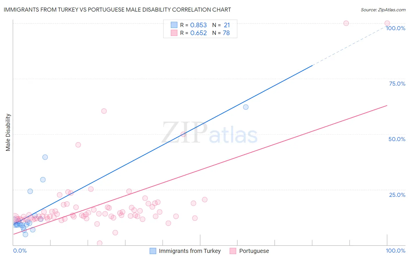 Immigrants from Turkey vs Portuguese Male Disability