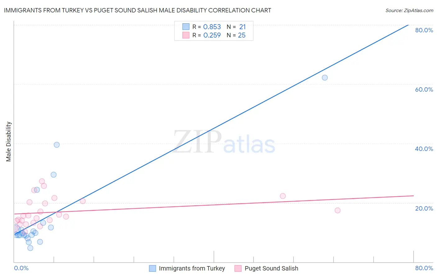 Immigrants from Turkey vs Puget Sound Salish Male Disability