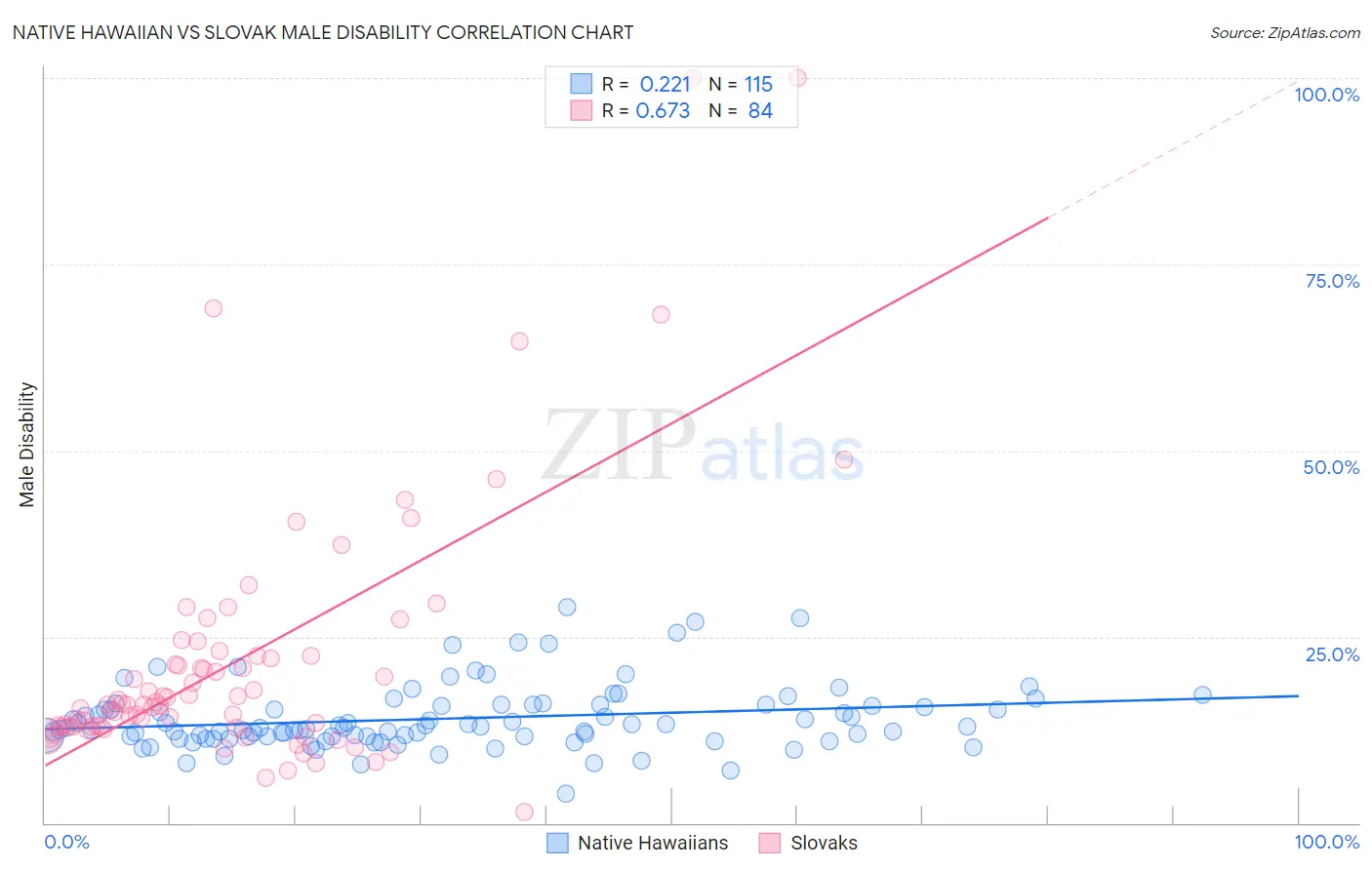 Native Hawaiian vs Slovak Male Disability