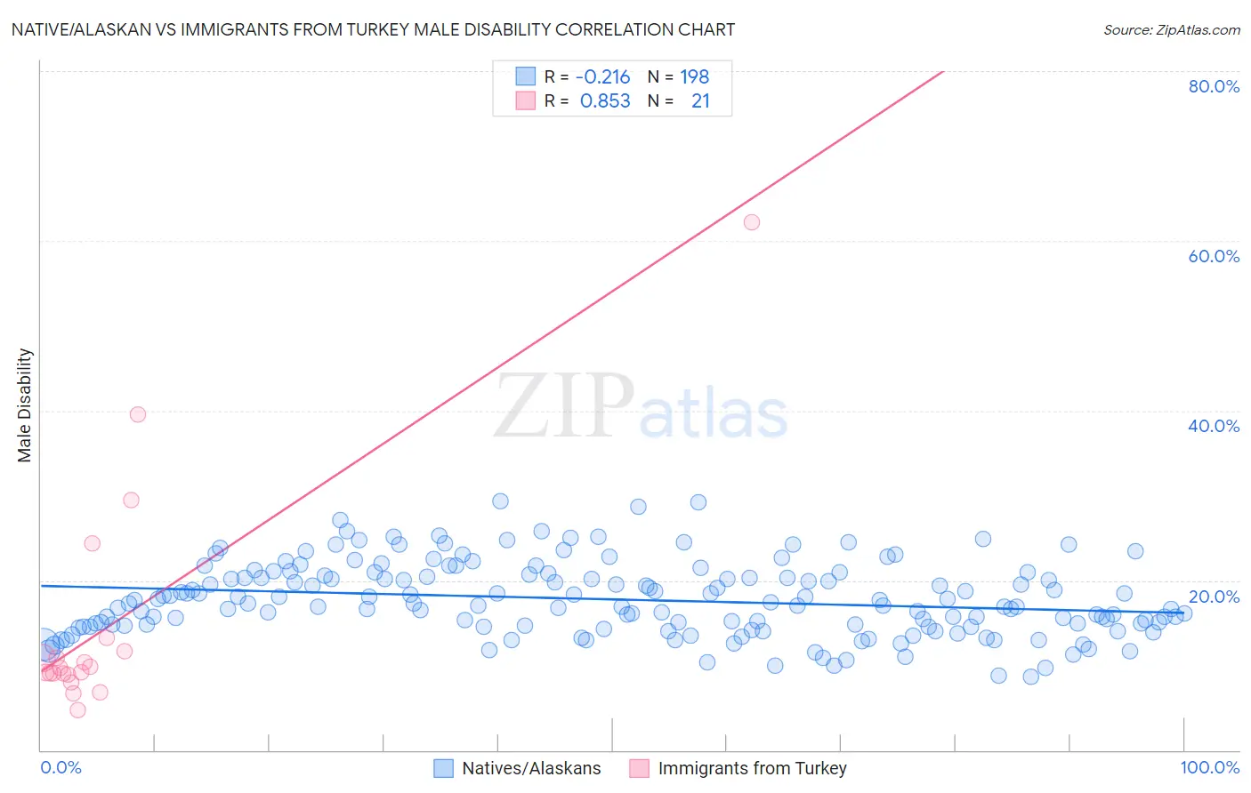 Native/Alaskan vs Immigrants from Turkey Male Disability