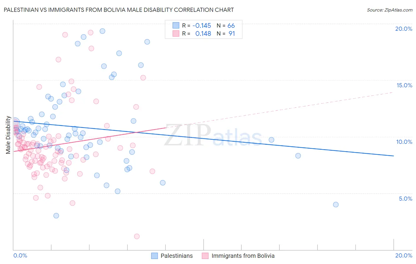 Palestinian vs Immigrants from Bolivia Male Disability