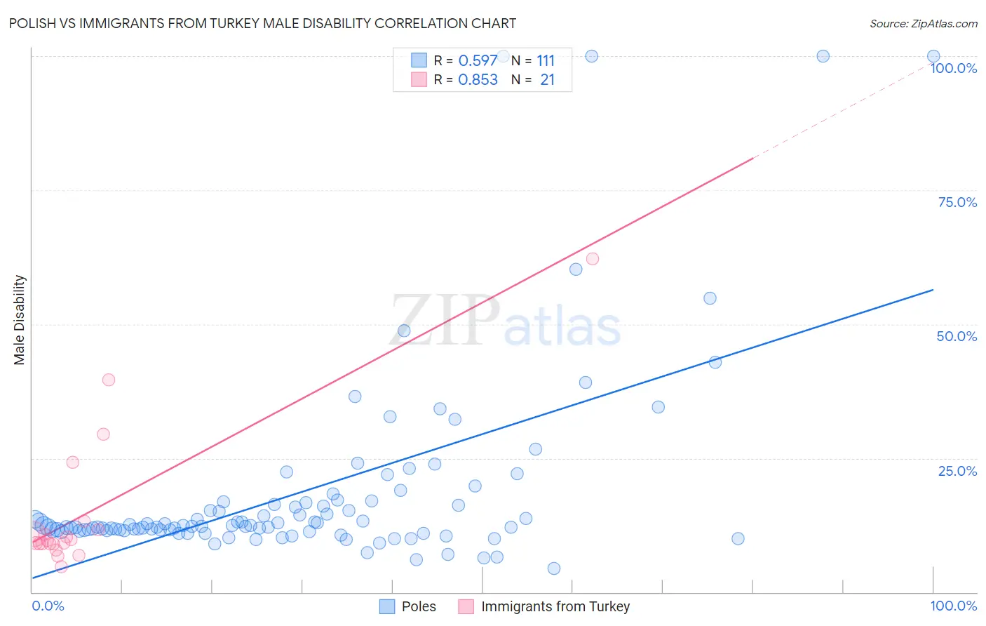 Polish vs Immigrants from Turkey Male Disability