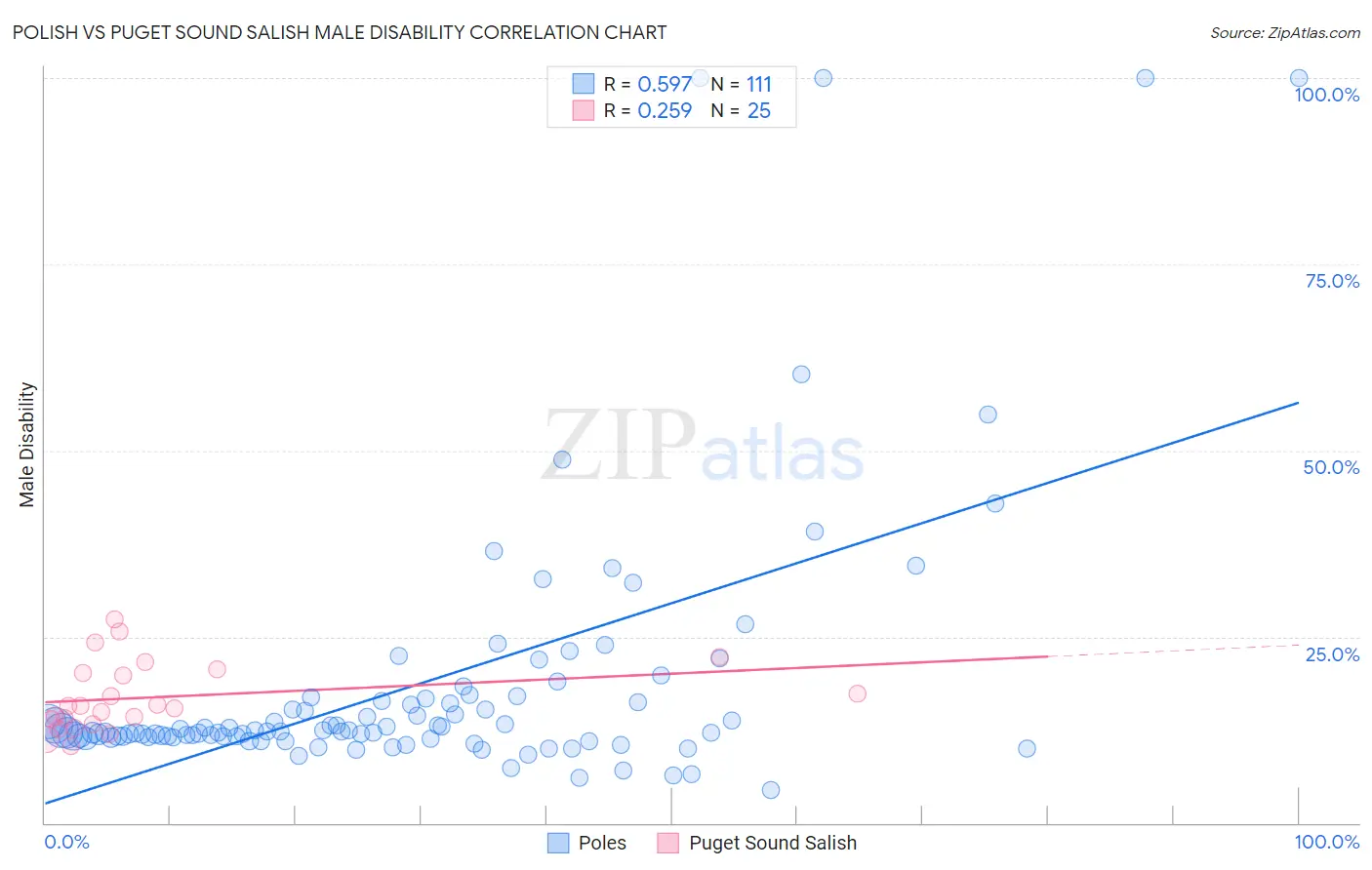 Polish vs Puget Sound Salish Male Disability