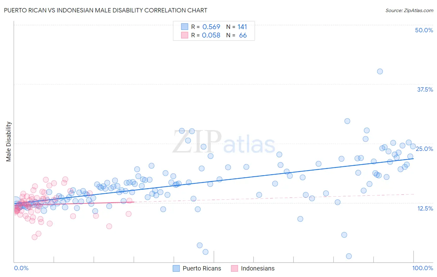 Puerto Rican vs Indonesian Male Disability