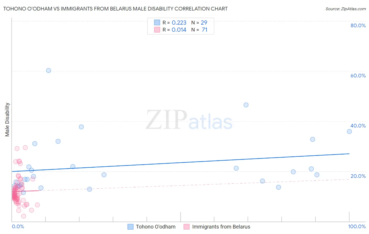 Tohono O'odham vs Immigrants from Belarus Male Disability