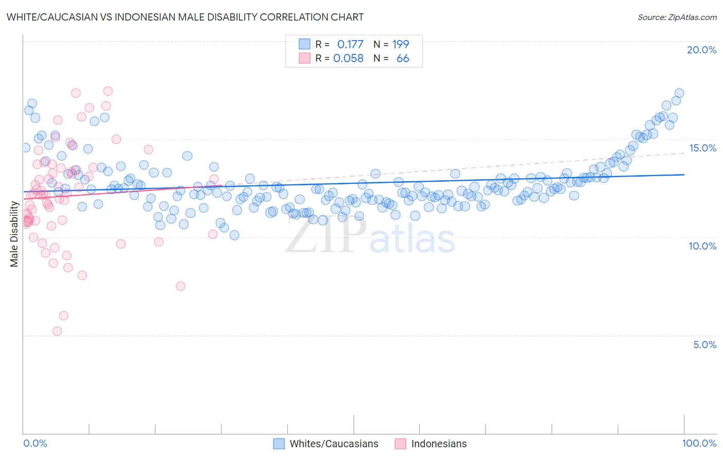 White/Caucasian vs Indonesian Male Disability