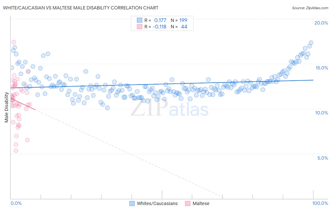 White/Caucasian vs Maltese Male Disability