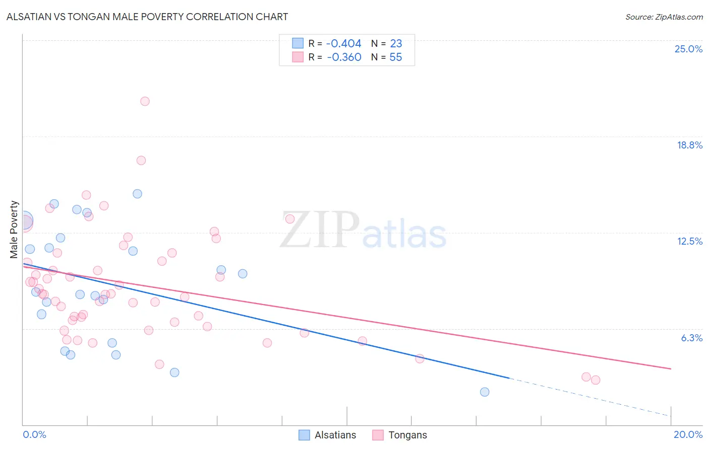 Alsatian vs Tongan Male Poverty