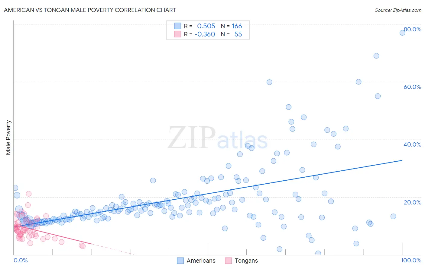 American vs Tongan Male Poverty