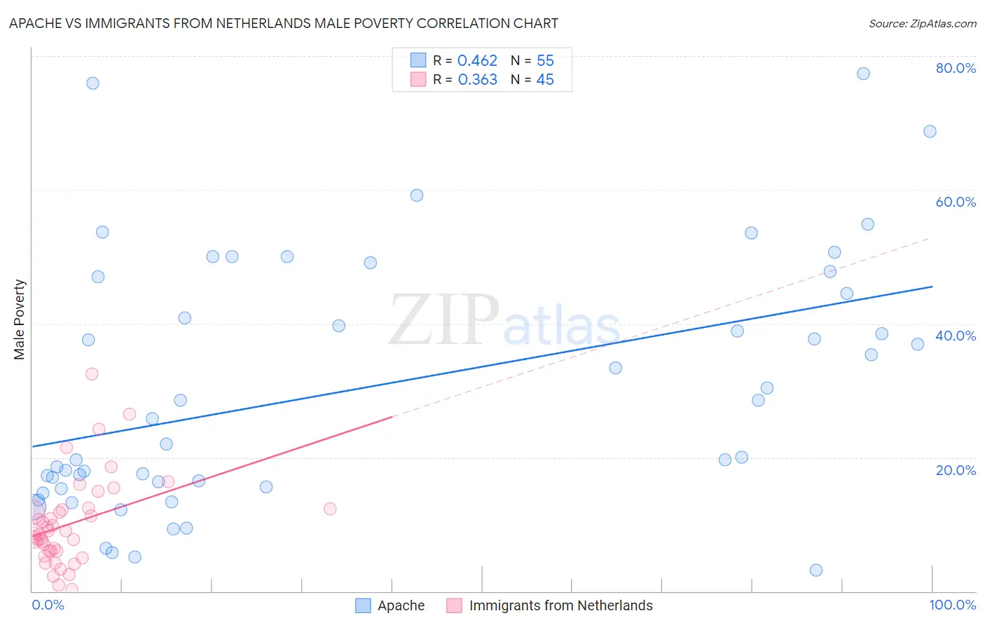 Apache vs Immigrants from Netherlands Male Poverty