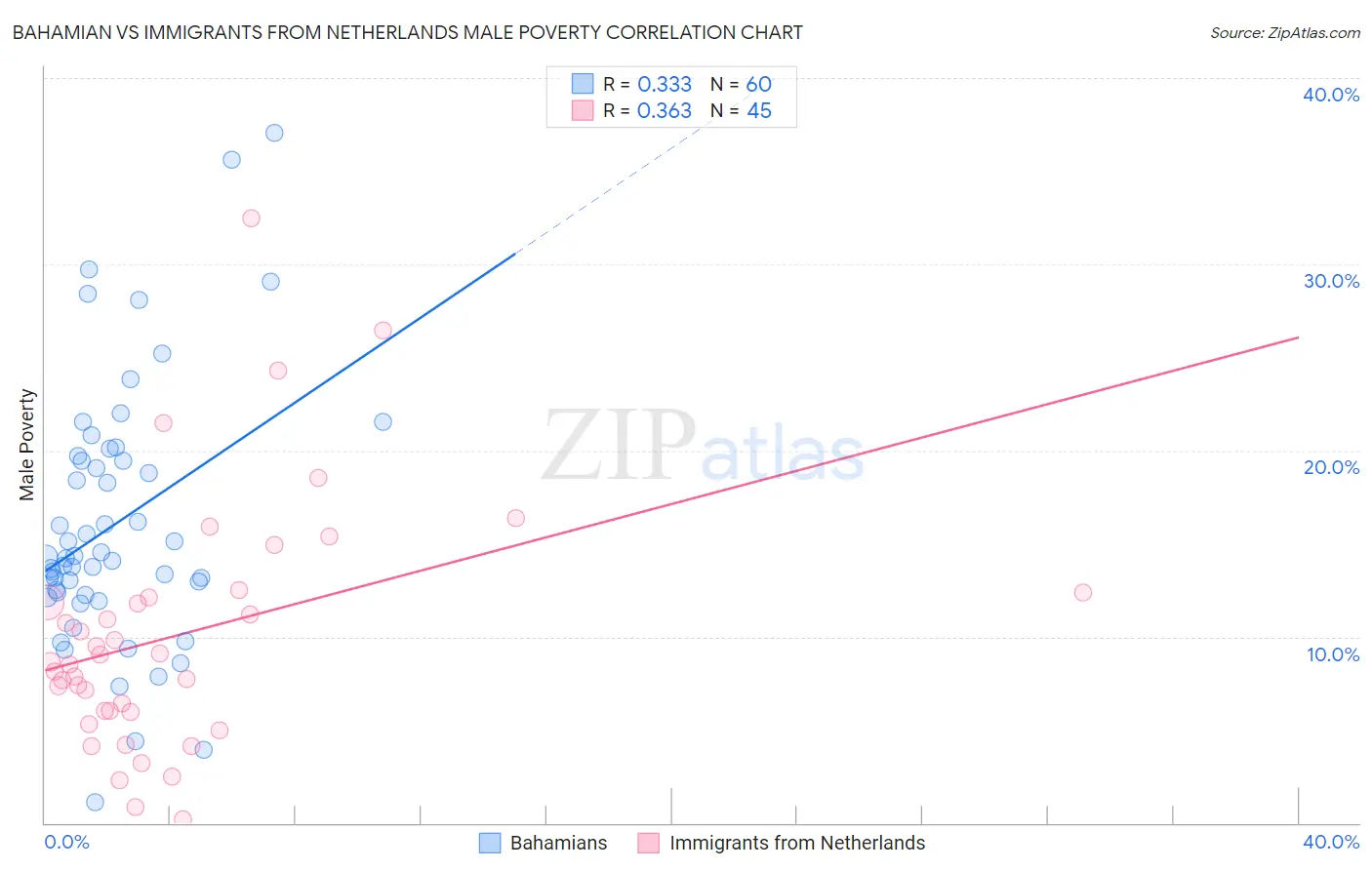 Bahamian vs Immigrants from Netherlands Male Poverty