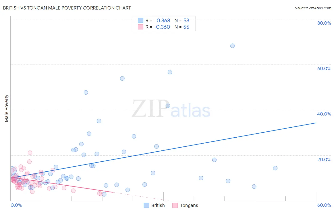 British vs Tongan Male Poverty