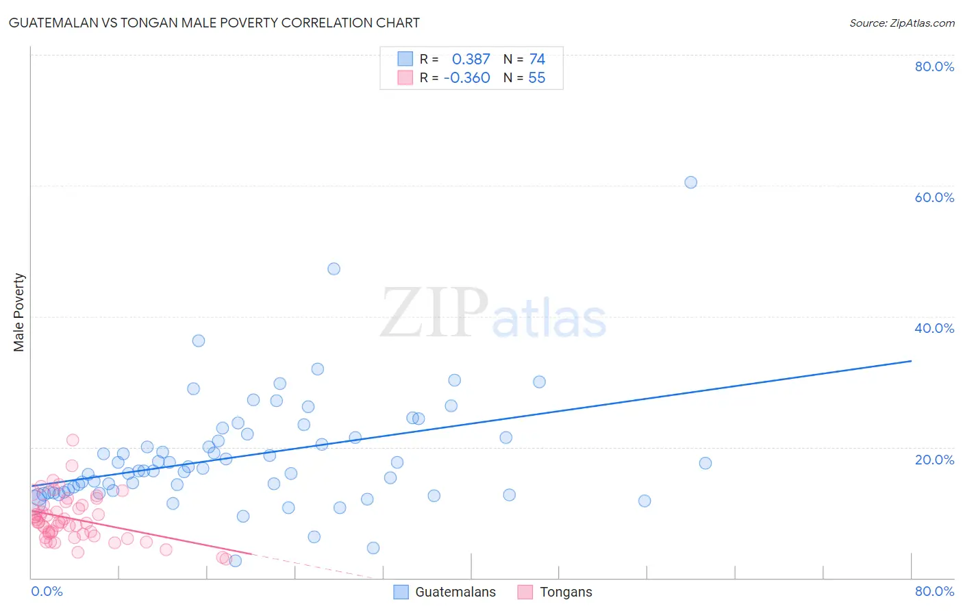 Guatemalan vs Tongan Male Poverty