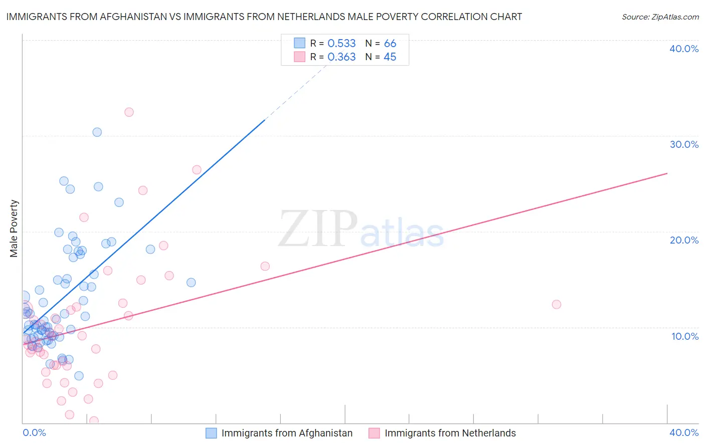 Immigrants from Afghanistan vs Immigrants from Netherlands Male Poverty