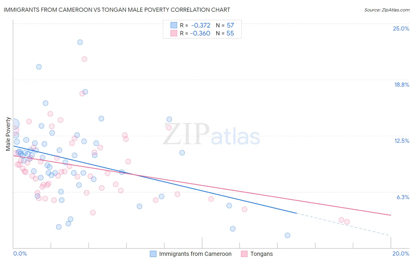 Immigrants from Cameroon vs Tongan Male Poverty