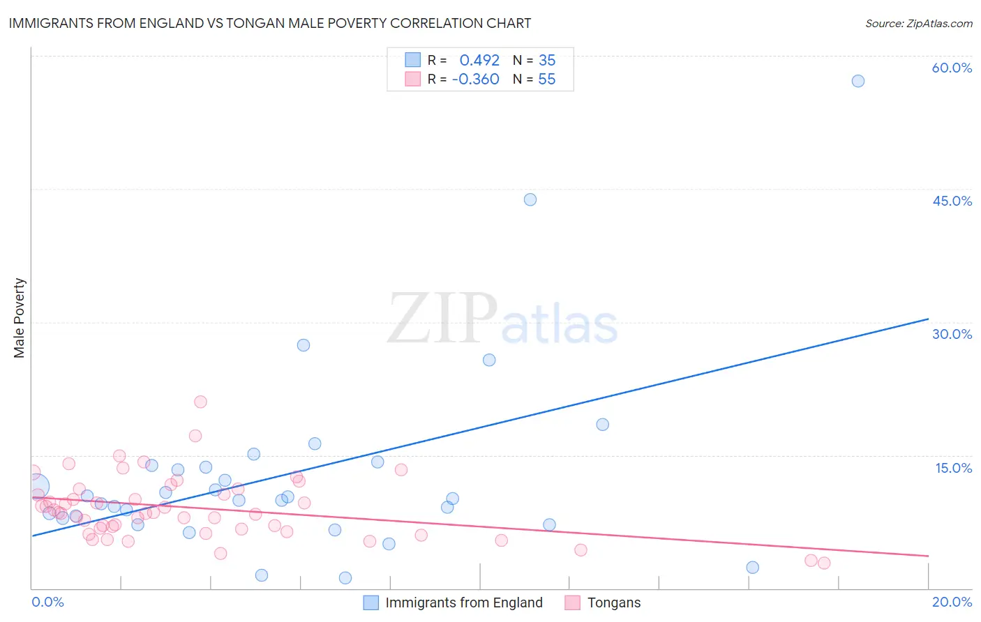 Immigrants from England vs Tongan Male Poverty