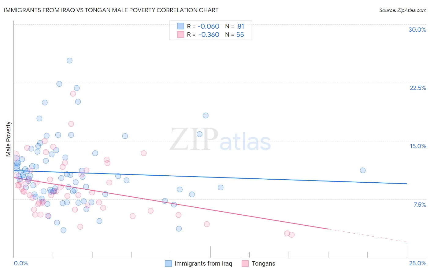 Immigrants from Iraq vs Tongan Male Poverty