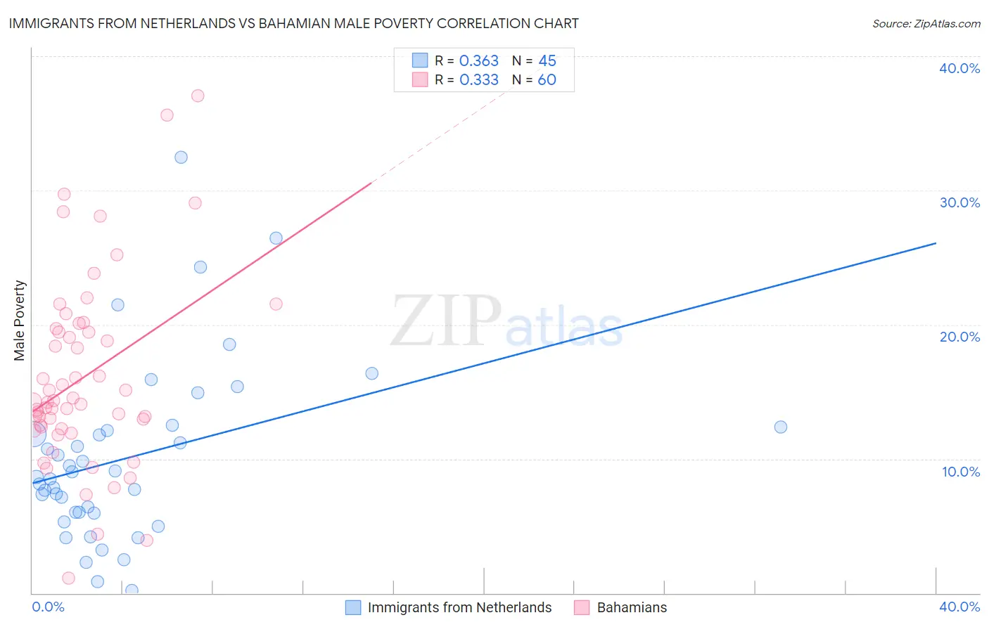 Immigrants from Netherlands vs Bahamian Male Poverty