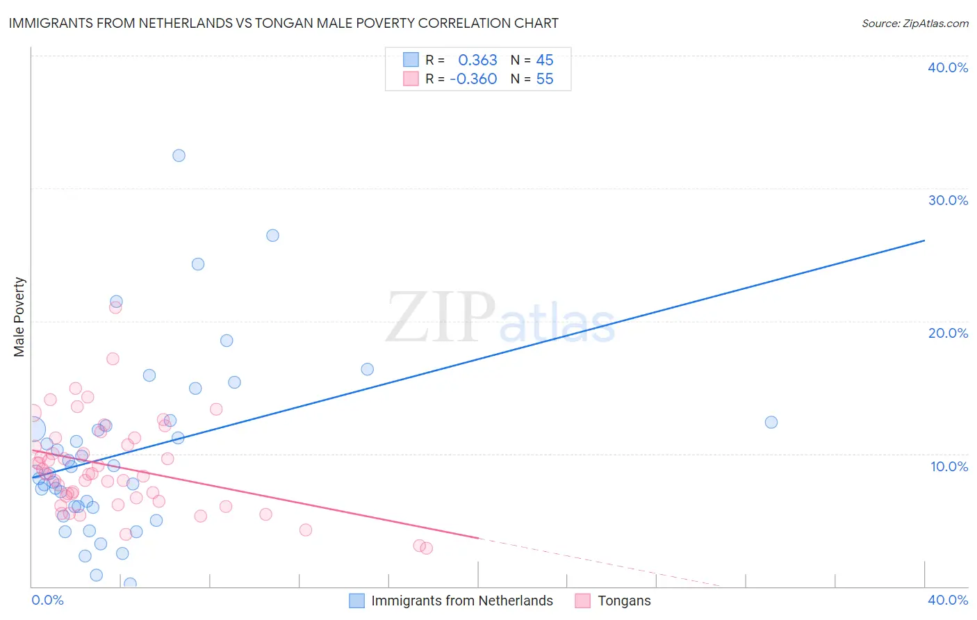 Immigrants from Netherlands vs Tongan Male Poverty