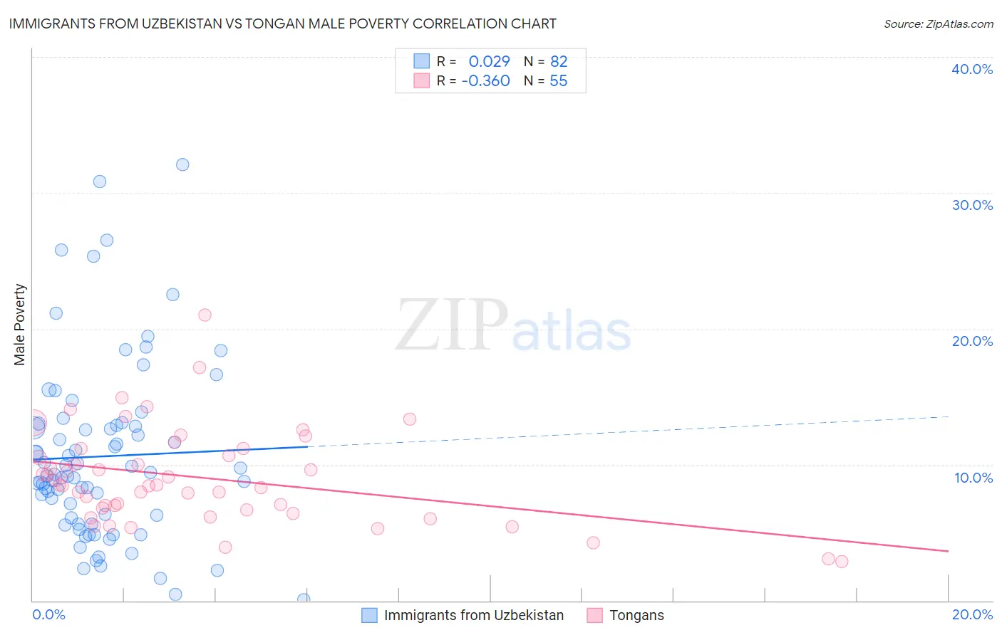 Immigrants from Uzbekistan vs Tongan Male Poverty